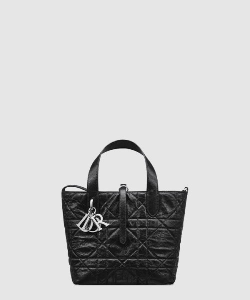 디올 Toujours 스몰 버티컬 토트백 M2835