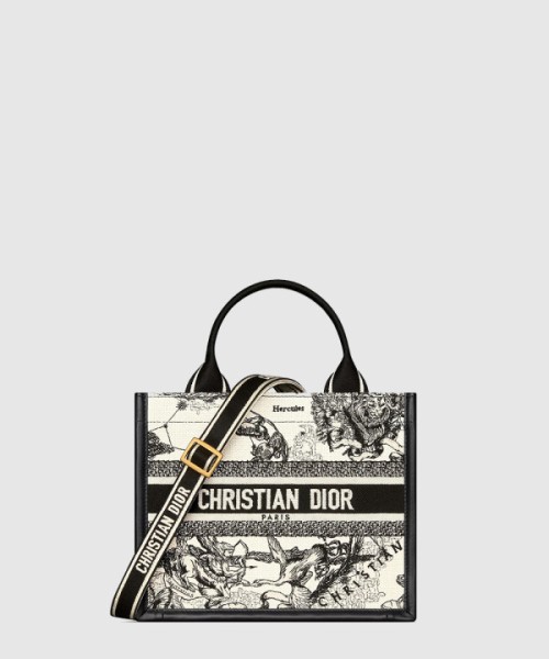 디올 레이디 까나쥬 북토트백 스몰 M1325