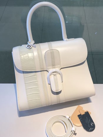 델보 브리앙 박스백 미듐