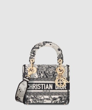 디올 레이디백 디라이트 미니 M0500