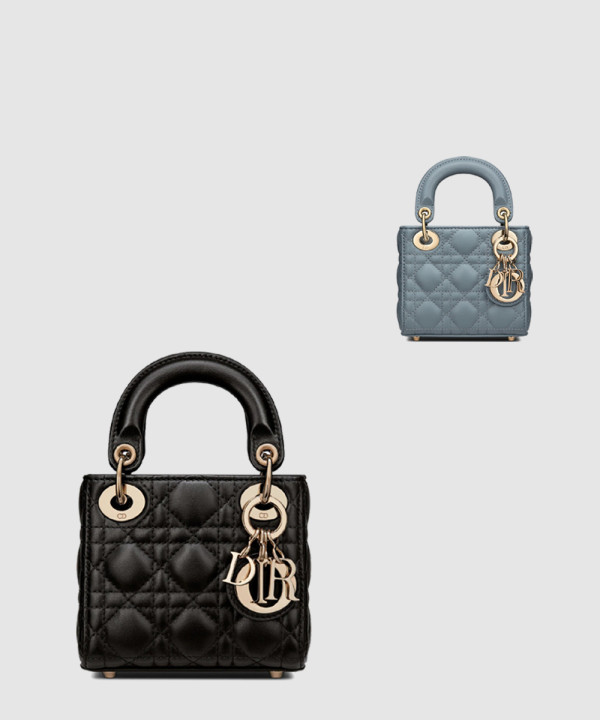 디올 레이디백 마이크로 S0856