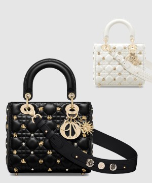 디올 레이디백 ABC M0538