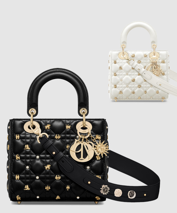 디올 레이디백 ABC M0538