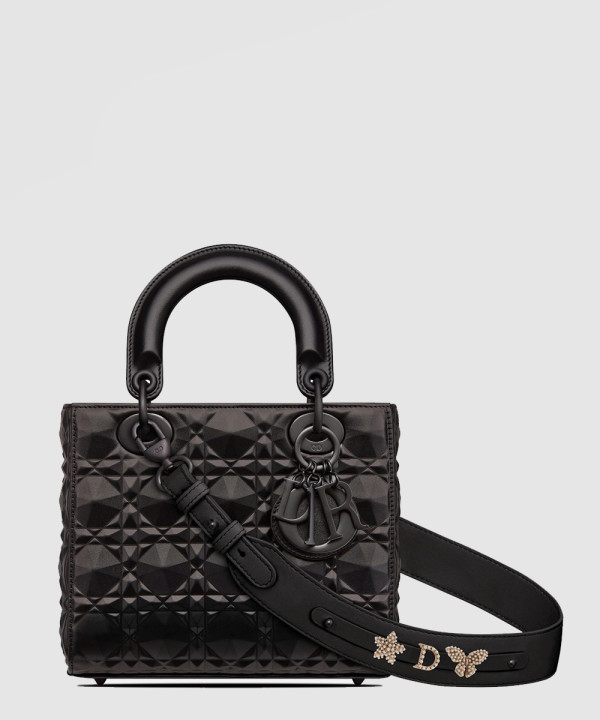 디올 레이디백 ABC M0538