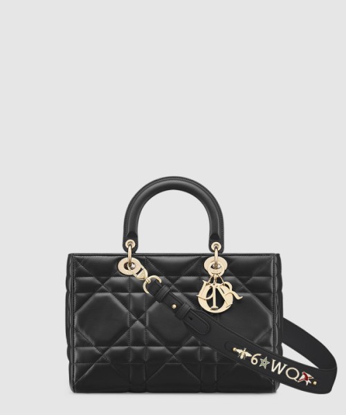 디올 디자이어 레이디백 ABC M1151