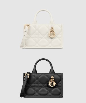 디올 북 토트 미니 숄더백 S5573