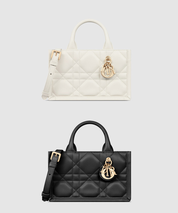 디올 북 토트 미니 숄더백 S5573