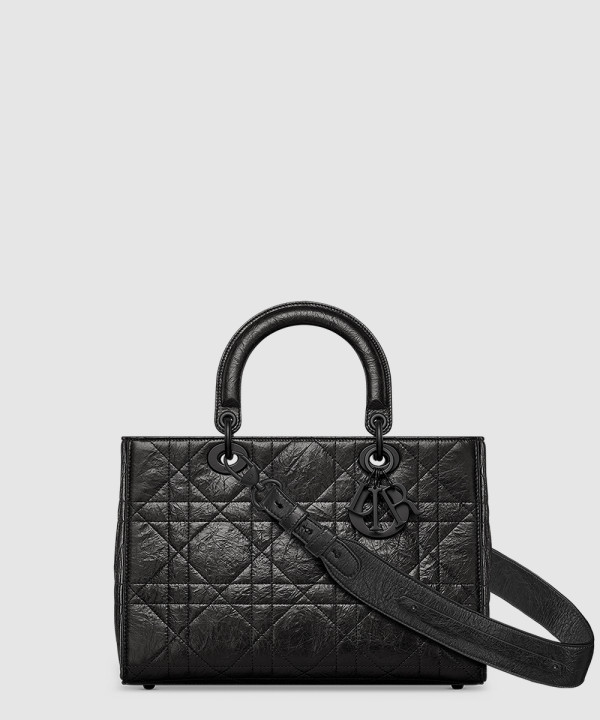 디올 디자이어 레이디백 ABC M1151