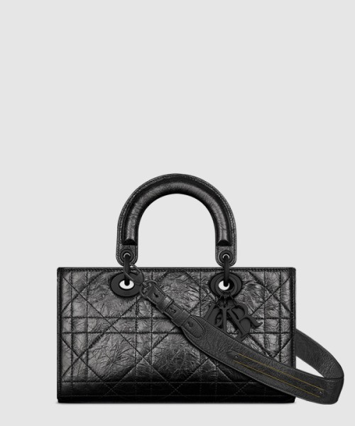 디올 디자이어 레이디백 스몰 ABC M1150