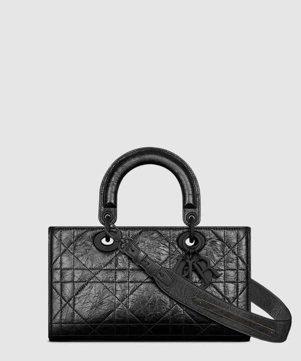 디올 디자이어 레이디백 스몰 ABC M1150