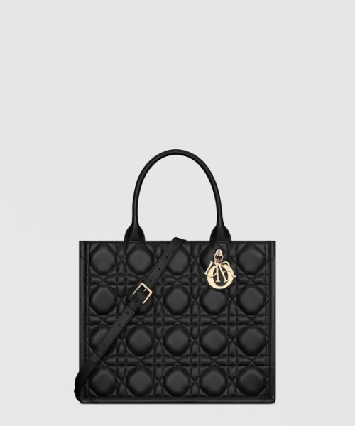 디올 북 토트 쇼퍼백 미듐 M1324