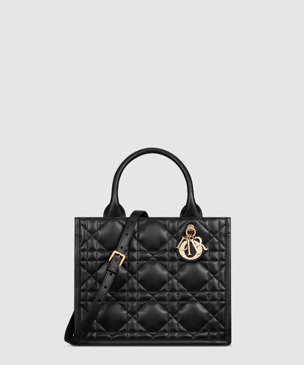 디올 레이디 까나쥬 북토트백 스몰 M1325