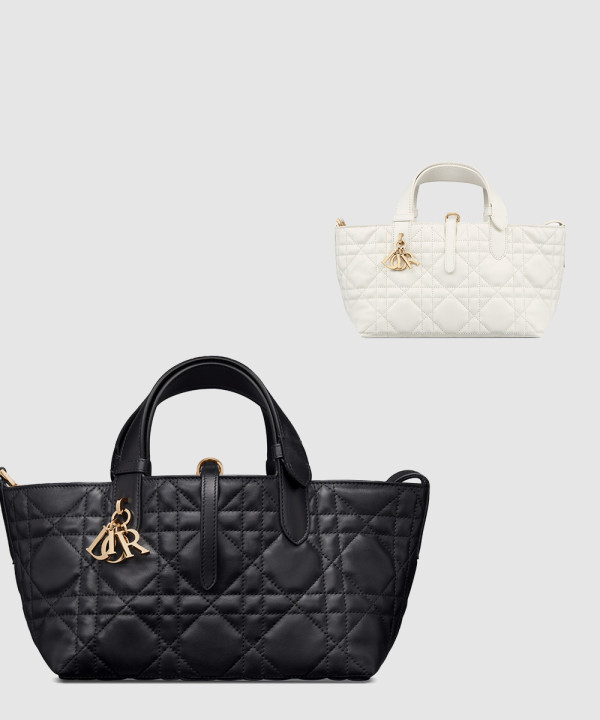 디올 뚜주흐 토트백 스몰 M2822