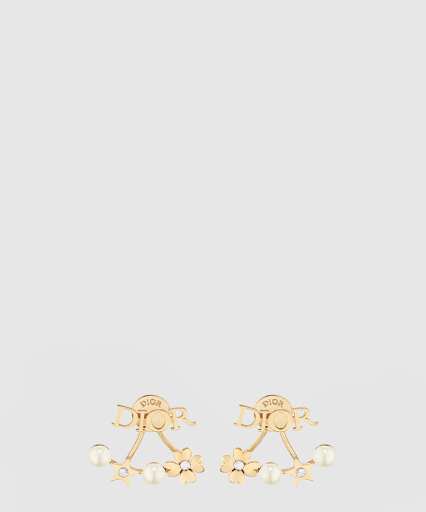 디올 Dio(r)evolution 귀걸이 E3916