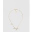 디올 evolution 목걸이 N3117