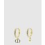디올 Petit CD 귀걸이E1914