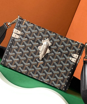 고야드 카세트 트렁크 백 블랙