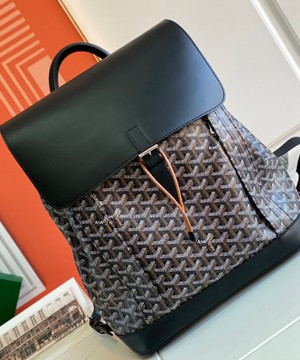 고야드 알핀 백팩 블랙