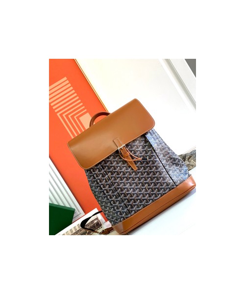 고야드 알핀 백팩 블랙 탄