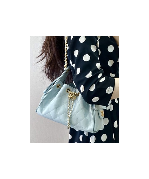 샤넬 25c 호보백 22