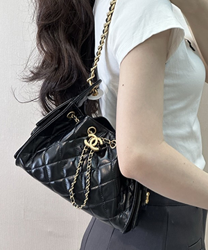 샤넬 25c 호보백 22