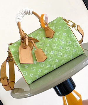 루이비통 런웨이 스피디 P9 반둘리에 25