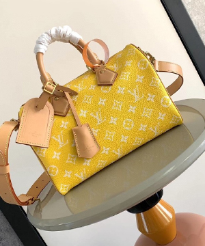 루이비통 런웨이 스피디 P9 반둘리에 25 M24426