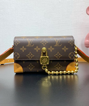 루이비통 스티머 웨어러블 월릿 M14738