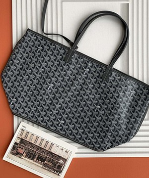 고야드 앙주 백 MM