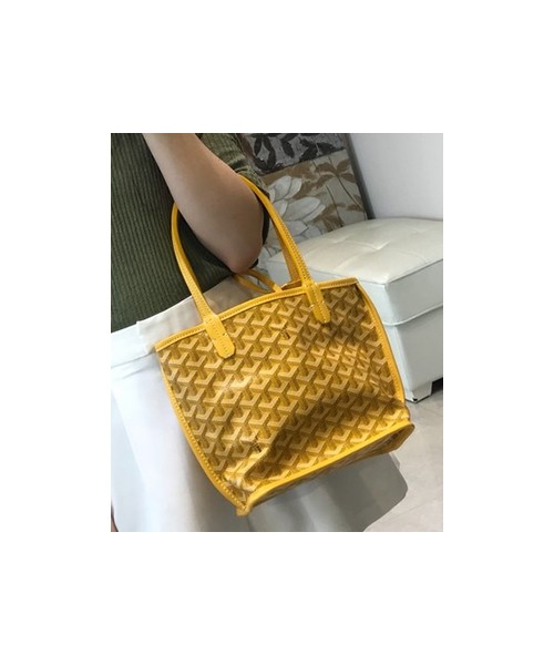 고야드 앙주 백