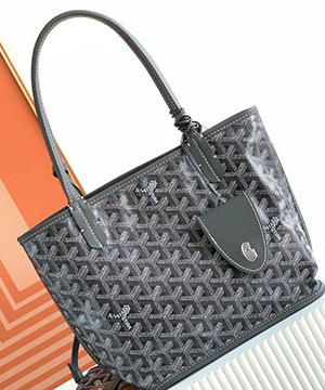 고야드 앙주 백 PM