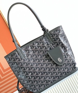 고야드 앙주 백 PM