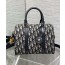 디올 그루브 토트백 25