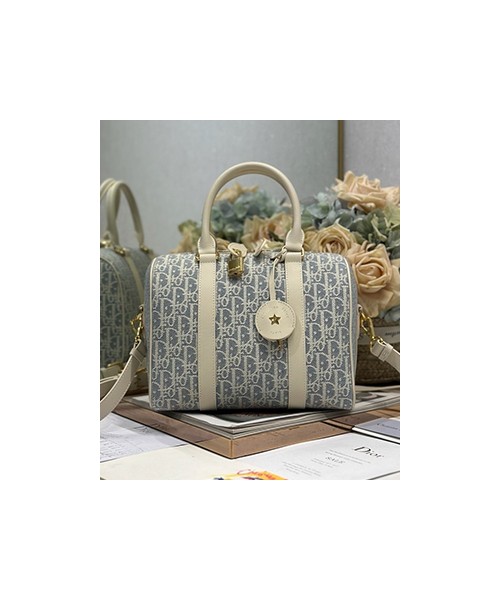 디올 그루브 토트백 25