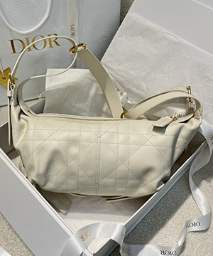 디올 디저니백 스몰