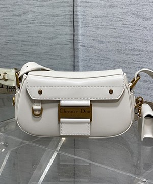 디올 오블리크 스트릿시크 백