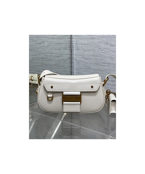 디올 오블리크 스트릿시크 백