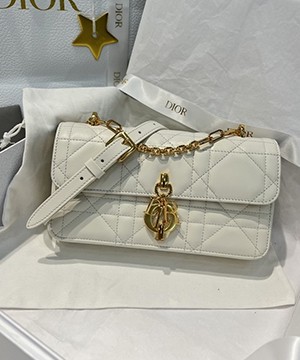 디올 미스 데이지백