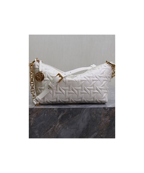 디올 스타 체인 호보 백