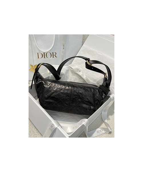 디올 디저니백