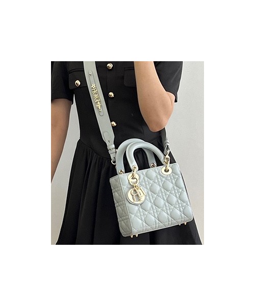 디올 레이디 까나쥬 백 20