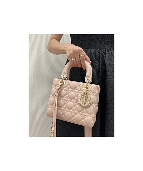 디올 레이디 까나쥬 백 20