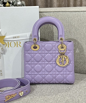 디올 레이디 까나쥬 백 20