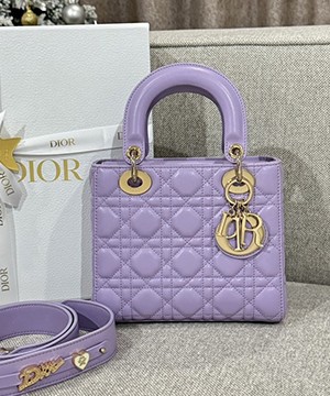 디올 레이디 까나쥬 백 20