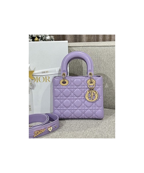 디올 레이디 까나쥬 백 20