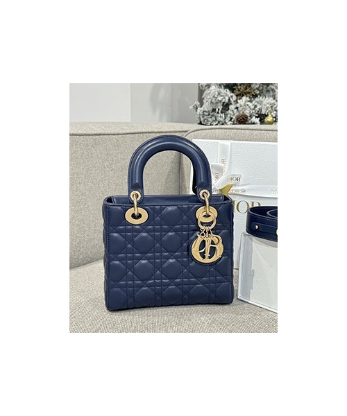 디올 레이디 까나쥬 백 20