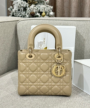 디올 레이디 까나쥬 20