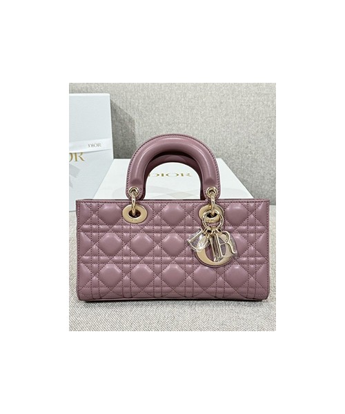 디올 레이디 디조이 미디움 백