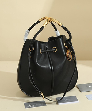 디올 노리타 미듐 백 오블리크 블랙