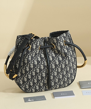 디올 노리타 미듐 백 오블리크 블루